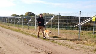 Sétáltatási és képzési szemléletem