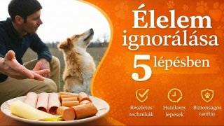Élelem ignorálása 5 lépésben