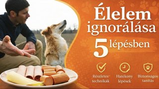 Élelem Ignorálása 5 Lépésben