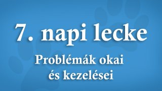 7. Problémák Okai És Kezelései