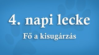 4. Fő A Kisugárzás