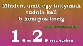 Minden, amit egy kutyának tudnia kell 1-2 rész